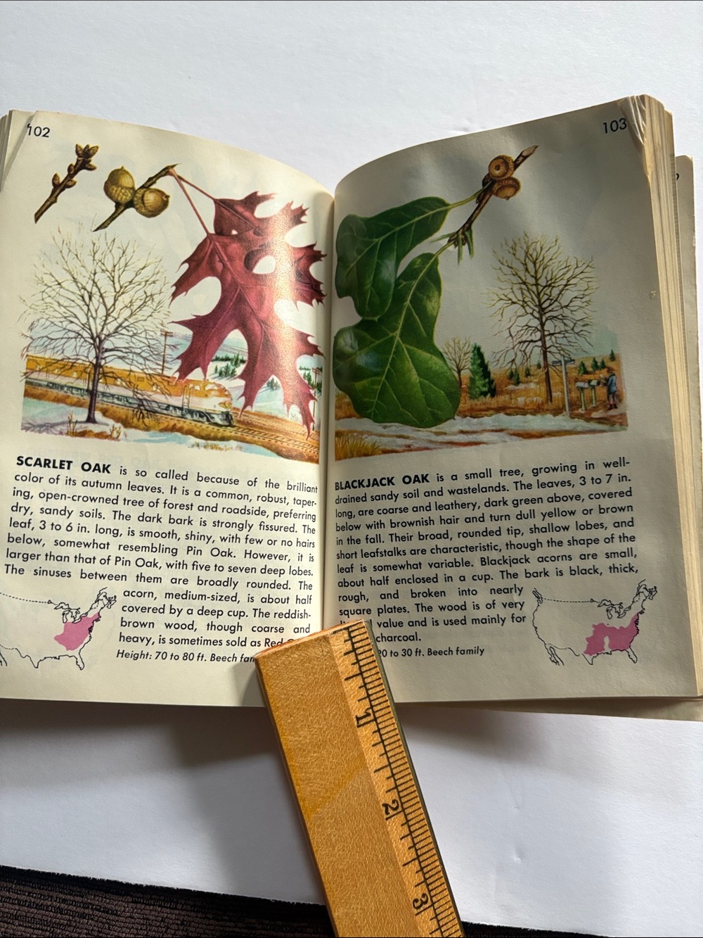 Compact field guide - Picture 5 of 8